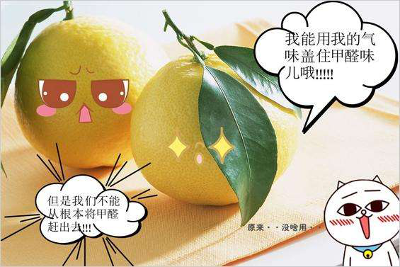 1566895696536331.png 圖片2.png